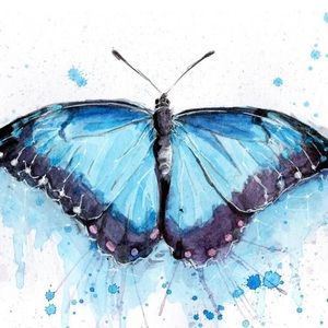 Meet your Posher, Mercedes